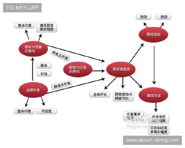 皇冠有限公司：产品多样化策略与消费者满意度提升的实战经验